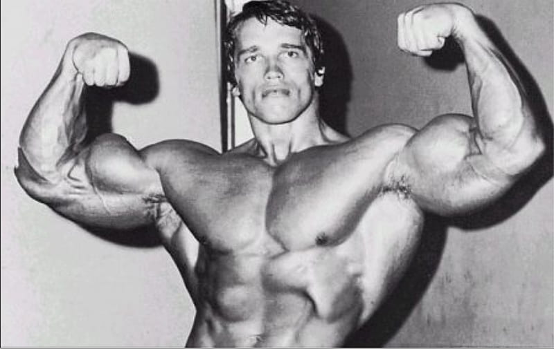 Arnold Schwarzenegger Bodybuilding Poster, HD wallpaper | Peakpx