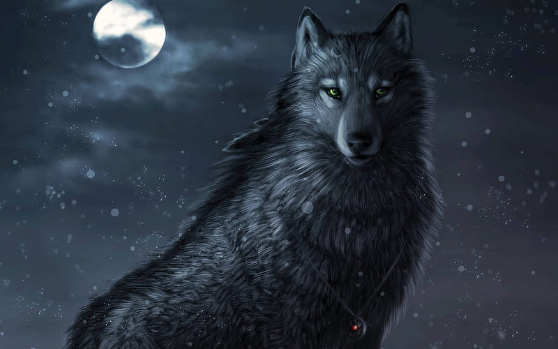 Black Wolf Of Full Moon, Moon and White Wolf, HD wallpaper