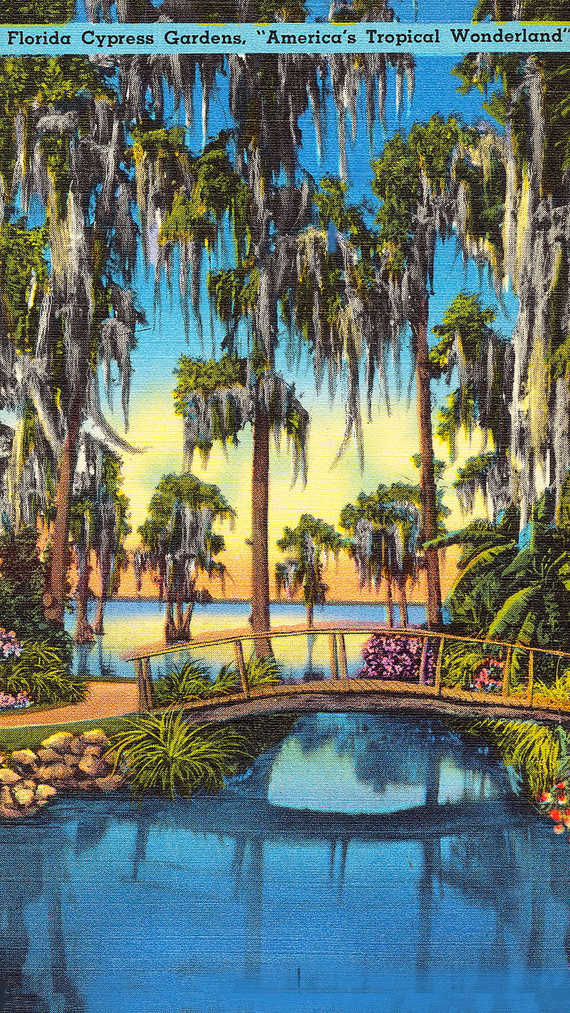 Vintage Florida , best+vintage+, cool+vintage+, high+res+vintage+, unique+vintage, vintage+, vintage++graphy, vintage+graphy, vintage+, vintage+, HD phone wallpaper