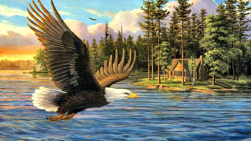 birds-art-lake-painting-wildlife-eagle-water-bird-flight-cabin-eagles-animal-avian-artwork about, Wasser, Deutschland, Fliegen, Adler, Land, HD wallpaper