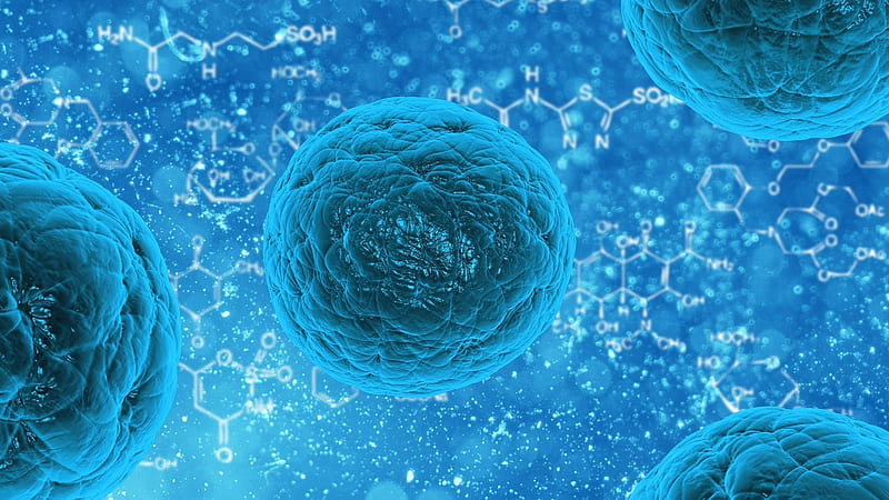Stem Cell Cellular, HD wallpaper