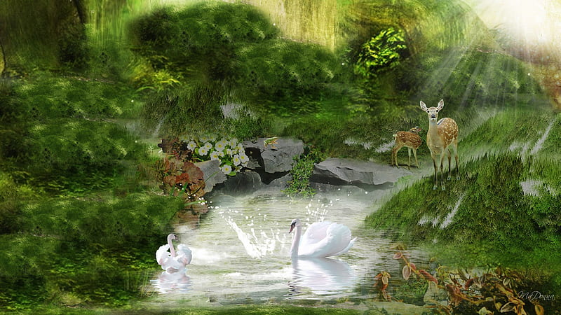 A Light in the Forest, forest, stream, firefox persona, trees, deer, swans, pond, frog, green, mountains, plants, HD wallpaper