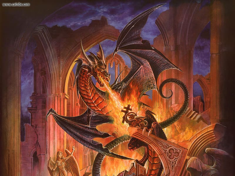 Fantasy, Dragon, Battle, Wyvern, HD wallpaper
