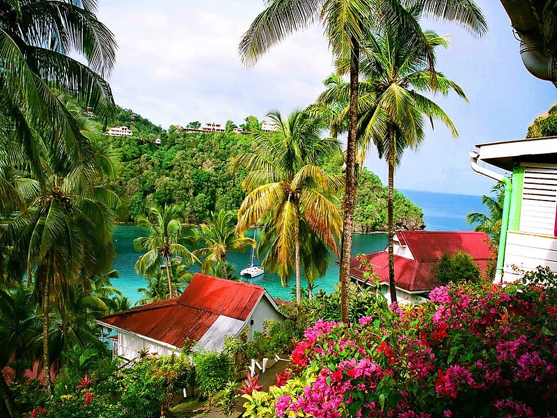 Lovely tropical view, colorful, shore, cottages, bonito, sea, palm trees, beach, nice, destination, village, flowers, tropics, cabins, rest, forest, vacation, exotic, lovely, view, holiday, fresh, houses, ocean, relax, sky, trees, palms, water, nature, tropical, HD wallpaper