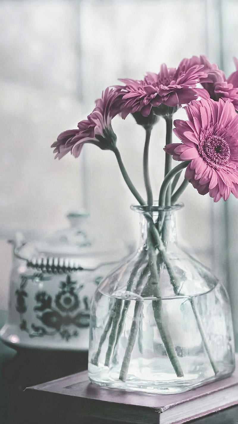 Flowers, in, vase, HD phone wallpaper | Peakpx