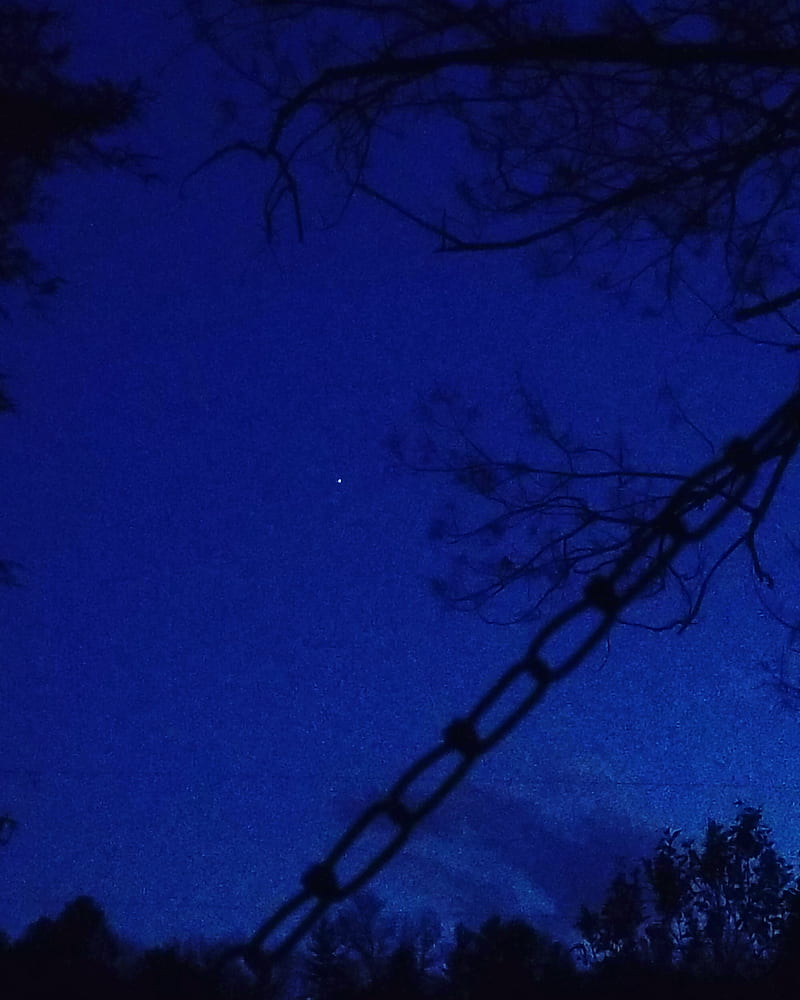 Dark sky blue, midnight, black, star, tree, HD phone wallpaper