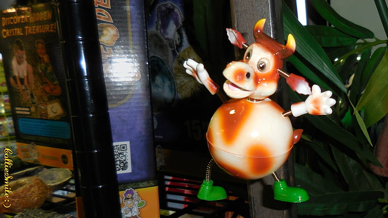 Surprised Gift Shop Cow, catt1e, cow, green shoes, bovine, toy, funny, toys, cows, HD wallpaper