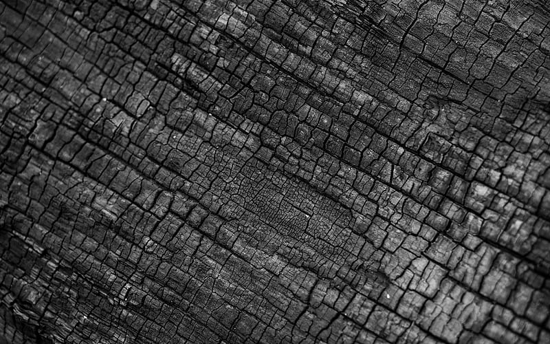 burnt wood texture, charred wood texture, black wooden background, charcoal background, burnt wood, HD wallpaper