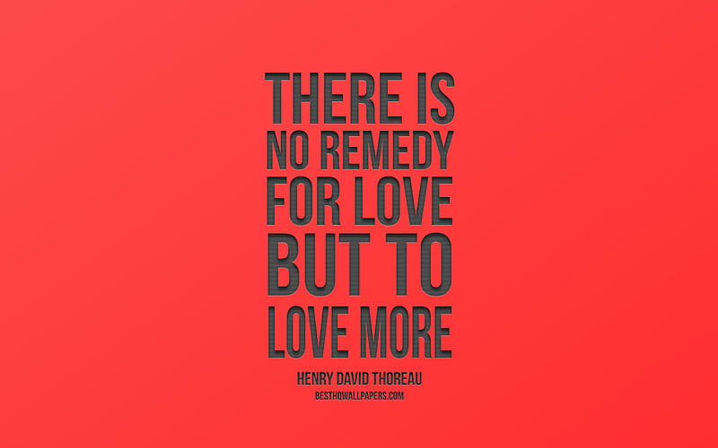 There is no remedy for love but to love more, Henry David Thoreau quotes, stylish, art, popular quotes, red background, quotes about love, HD wallpaper