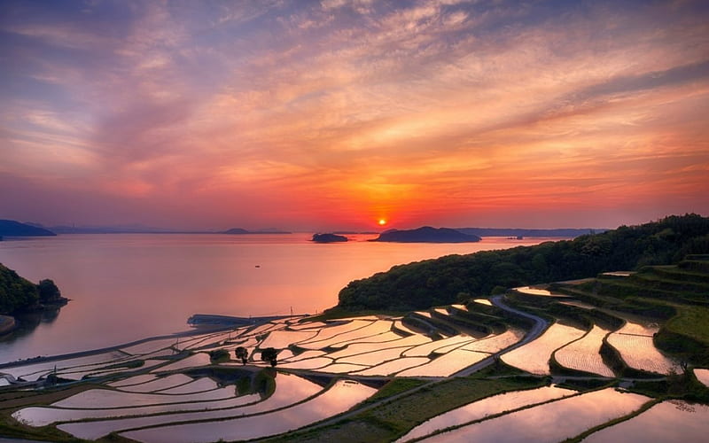 Nagasaki Prefecture, japanese, sunset, clouds, terrace, rice, japan, nature, fields, scenery, HD wallpaper