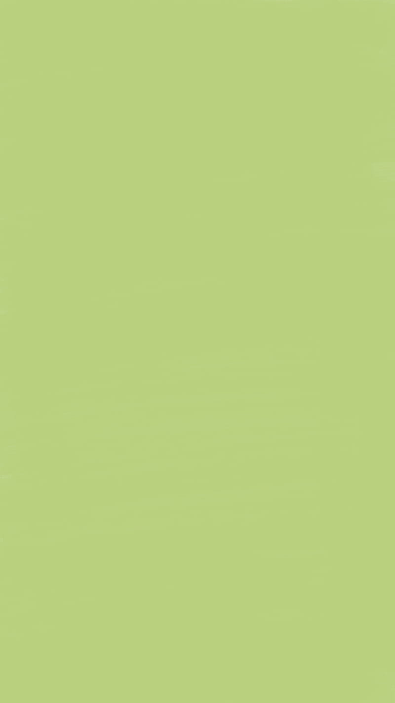 Simple Green, colors, solid, HD phone wallpaper | Peakpx