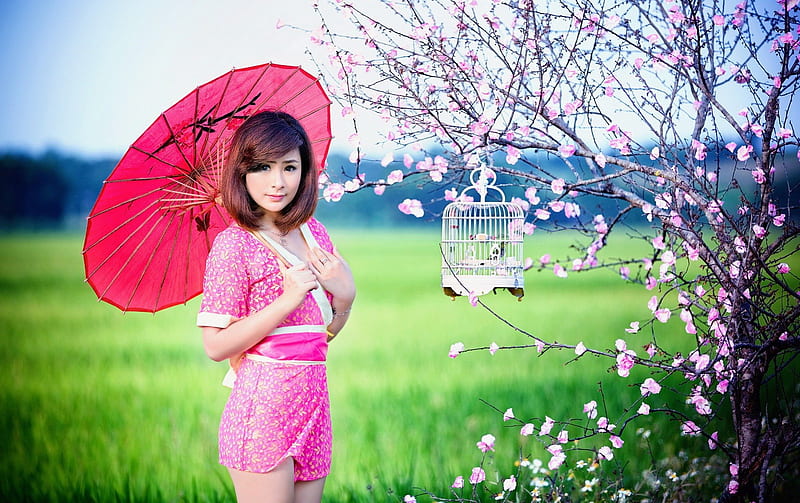 Oriental Pink, Oriental, beauty, Pink, model, HD wallpaper