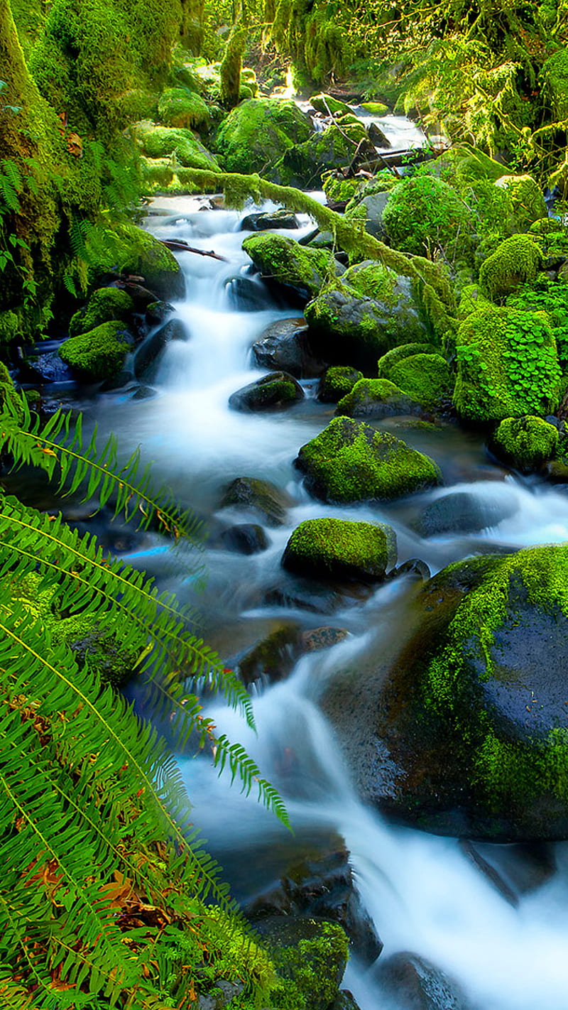 Waterfall natural, nature, new, HD phone wallpaper | Peakpx