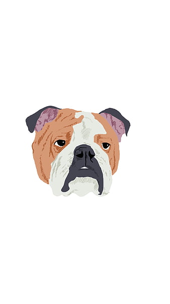 Fashion and Beautiful Dog of Bulldog, Wearing Colorful Sunglasses Cinematic  Lighting. Wallpaper Studio Stock Illustration - Illustration of adorable,  purebred: 266288777