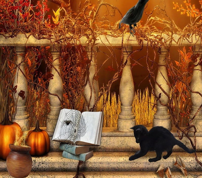 Halloween Cat Wallpapers on WallpaperDog