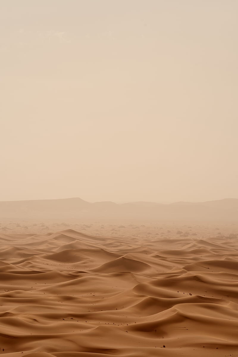 desert under white sky during daytime, HD phone wallpaper