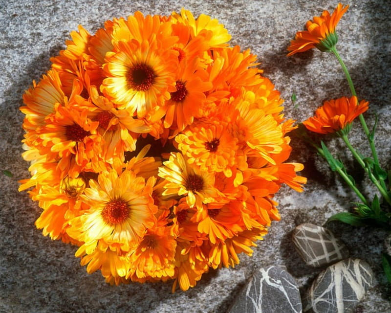 Fresh Marigold Wreath, wreaths, yellow, flowers, marigold, HD wallpaper