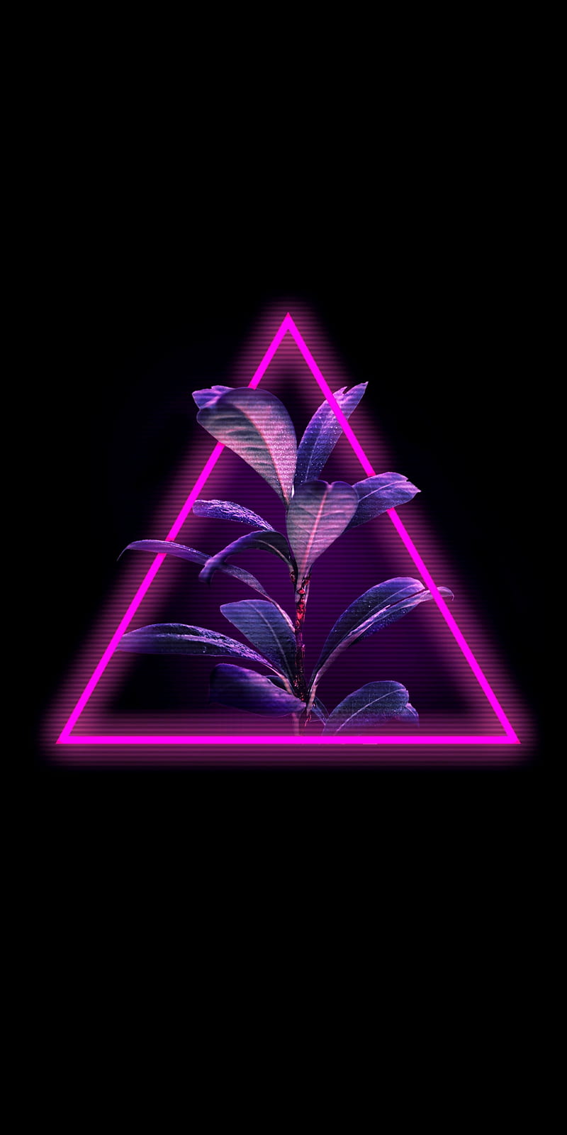 Neon Plant, signs, nature, element, HD phone wallpaper