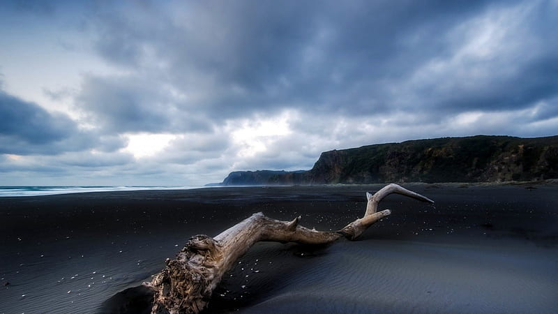 driftwood on a beautiful black sand beach, driftwood, beach, black, sand, HD wallpaper