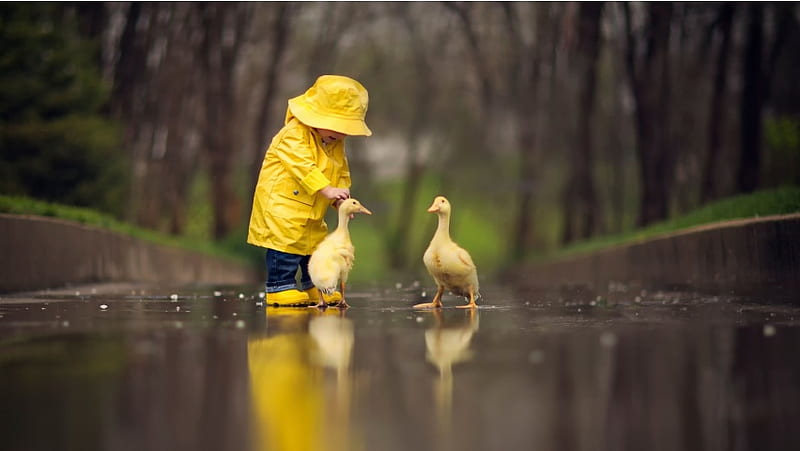 Yellow Raincoat Baby With Ducks, HD wallpaper