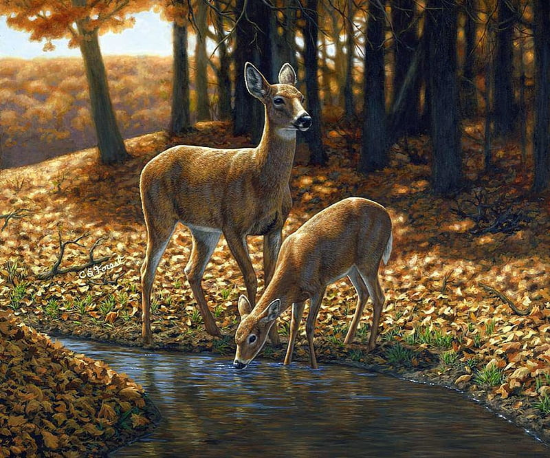 Deer at Fall, forest, leaves, painting, creek, trees, artwork, HD wallpaper