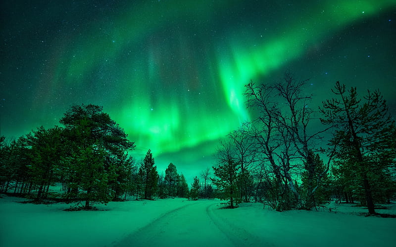 Northern lights, Trees, Sky, Road, Winter, Snow, HD wallpaper
