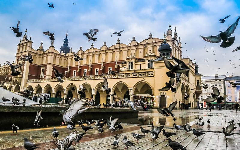 The Cloth Hall, square, Krakow, many pigeons, fountain, Krakow cityscape, Poland, HD wallpaper