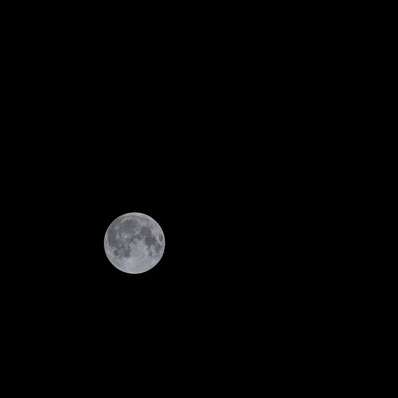 moon, full moon, space, satellite, bw, HD phone wallpaper