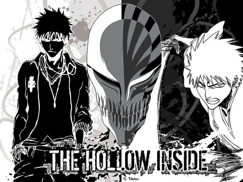 The Hollow Inside, bleach, black and white, ichigo, ichigo kurosaki,  kurosaki ichigo, HD wallpaper | Peakpx