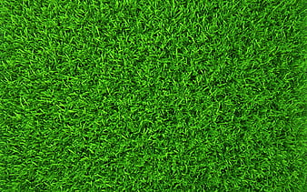Grass Background Images  Free Download on Freepik