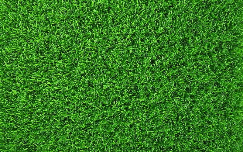 Green grass texture summer, macro, green background, grass textures, green  grass, HD wallpaper | Peakpx