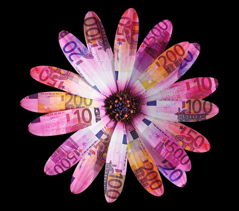 Flower Petals Leaves Daisy Euro, creative, currency, euro, flowers, illustration, HD wallpaper