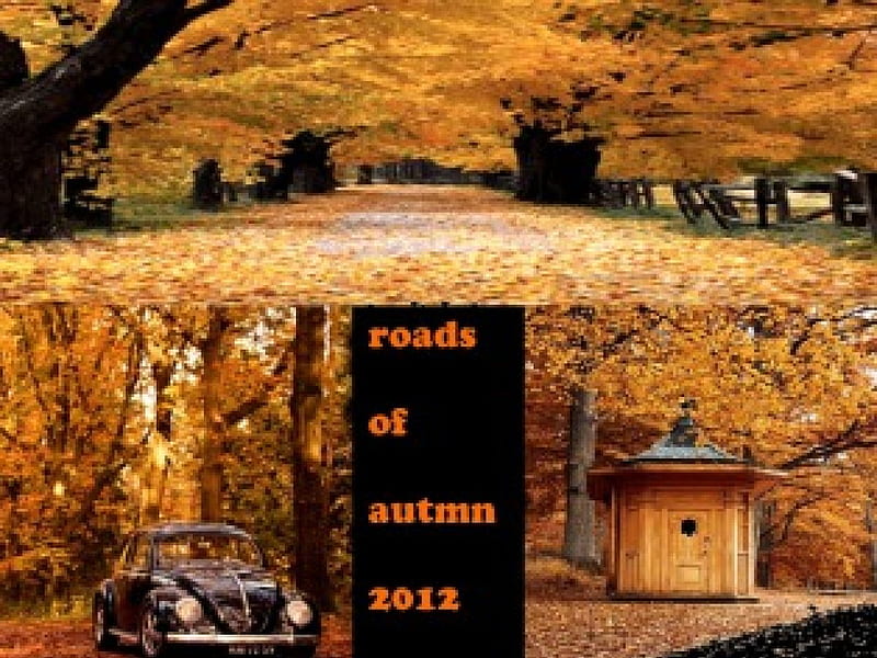 Autumn series --Roads of Autumn1, autumn, roads, a, 2012, HD wallpaper