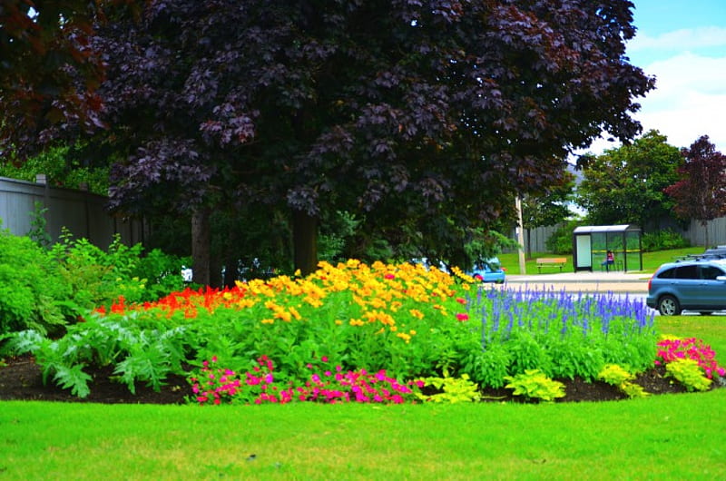 Corner garden side view -Brampton Ontario Canada summer 2014, corner garden, Ontario, Brampton, Canada, 2014, summer, HD wallpaper