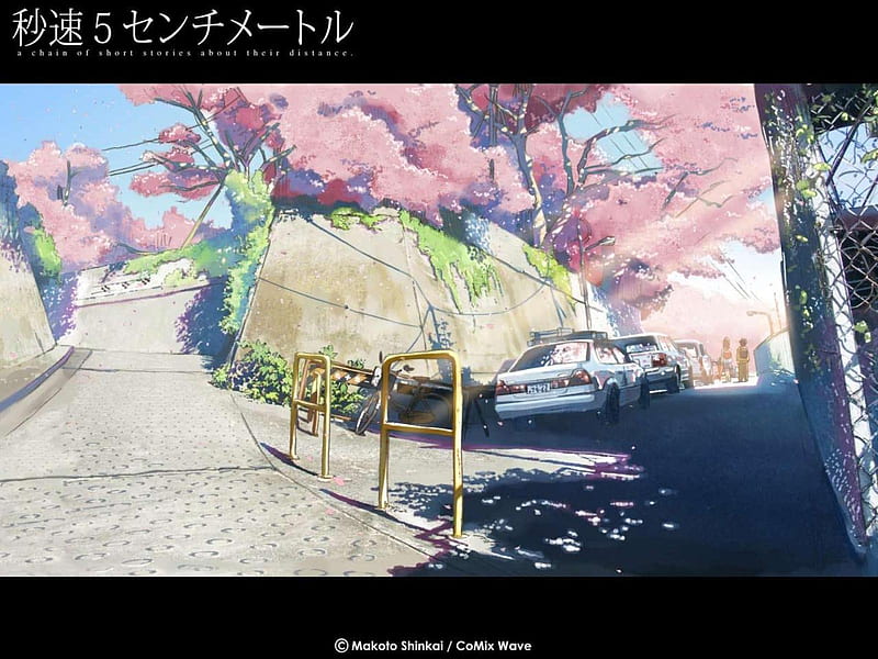 A Summers Day Beutiful Shadow Sunny Carros Anime Bike Road Light Blossom Tree Hd Wallpaper Peakpx