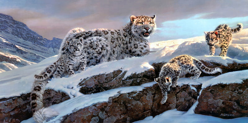 Snow Leopard Winter, HD wallpaper