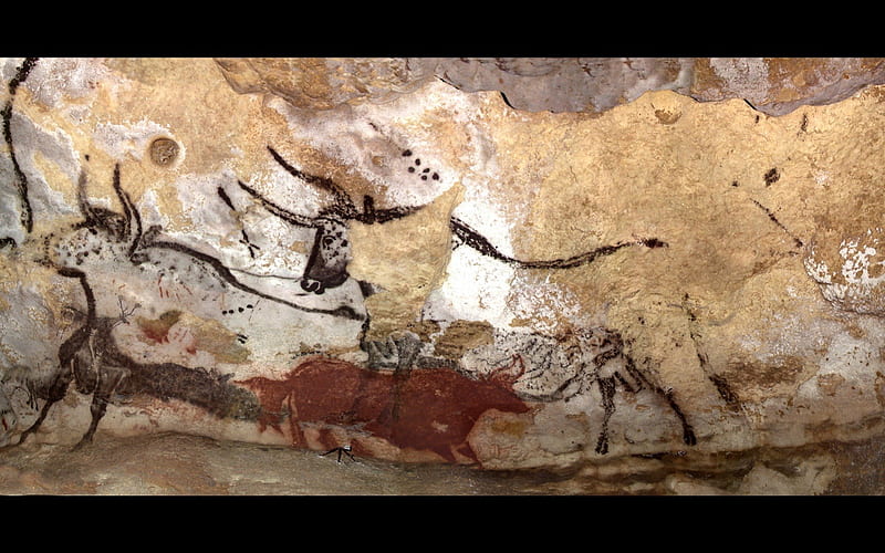 Paleolithic wall art in Lascaux 2, lascaux, wonderful, stunning, religious, spiritual, caveman, animism, nice, art parietal, colored, homo sapiens, cool, france, paleolithic, neanderthal, awesome, history, caves, bulls, wall art, bonito, old, cave graphy, stone, wild, painting, cavemen, prehistory, bull, animals, amazing, ancient, colors, drawing, prehistoric, prehistoire, HD wallpaper