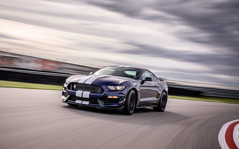Ford Mustang Shelby GT350, 2019, racing track, front view, new Mustang, exterior, tuning, speed, American supercars, Ford, HD wallpaper