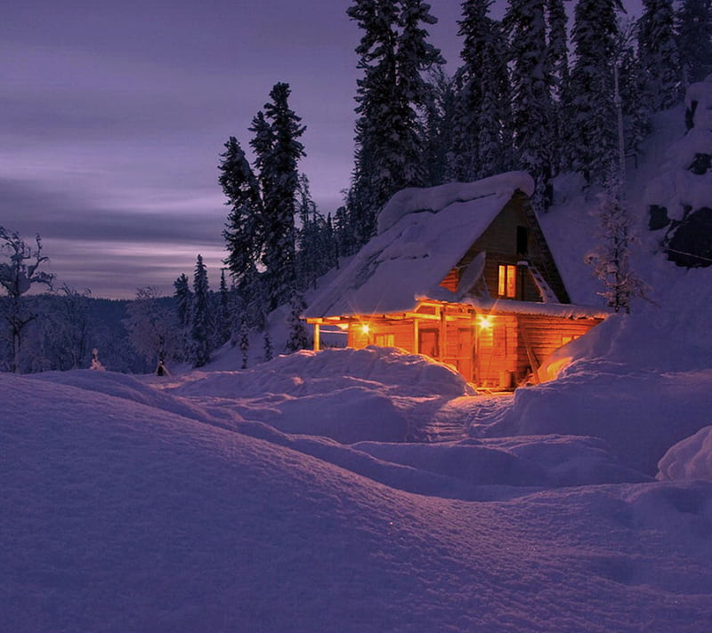 Winter Cottage, cottage, night, winter, HD wallpaper