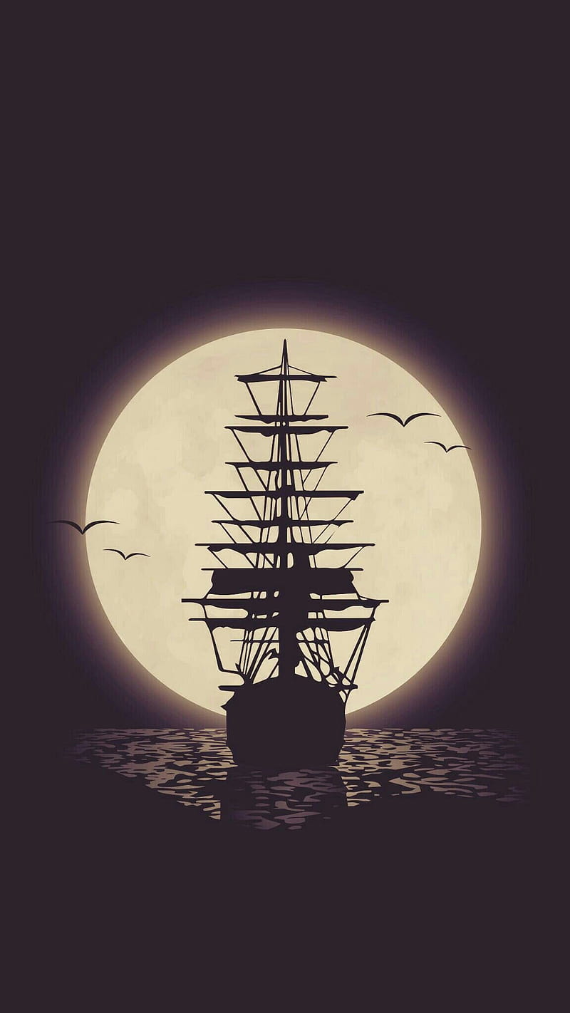 On the sea, ocean, ship, moon, pirate, sails, seagulls, birds, silhouette, HD phone wallpaper