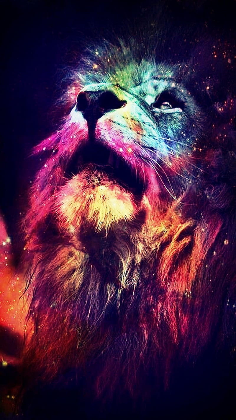 Abstract Lion, animal, colorful, colors, HD phone wallpaper | Peakpx