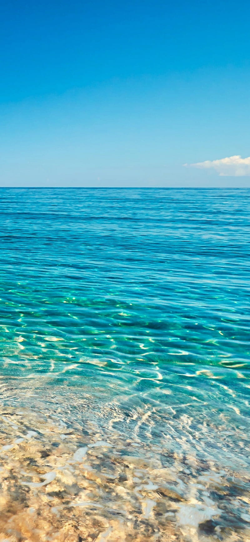 Vida de playa, playa, océano, agua, Fondo de pantalla de teléfono HD |  Peakpx