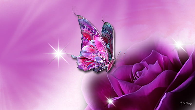 Velvet Rose and Butterfly, stars, rose, magenta, firefox persona, beams, butterfly, purple, bright, summer, flower, pink, light, HD wallpaper