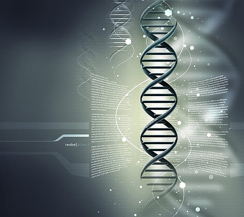 DNA Double Helix, gene, biology, double helix, helix, bonito, genome,  abstract, HD wallpaper | Peakpx