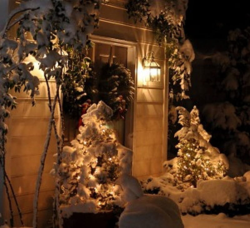Festive atmosphere, trees, snow, winter, HD wallpaper | Peakpx