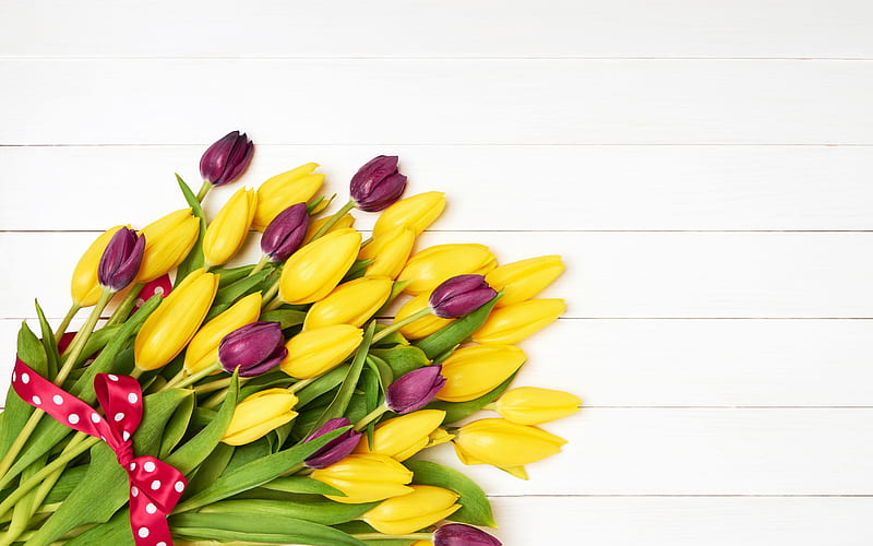 yellow tulips, purple tulips, a bouquet of tulips, beautiful spring flowers, March 8, tulips, HD wallpaper