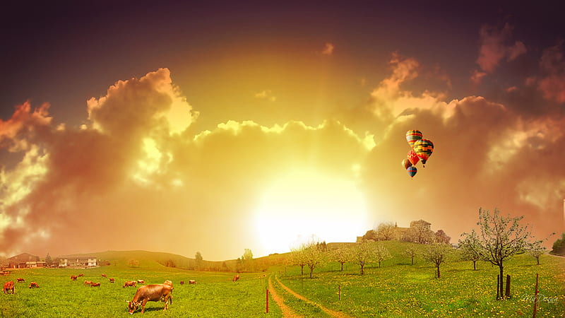 Sunset Hot Air Balloons, houses, firefox persona, sunset, spring, country, trees, sky, clouds, farm, cattle, balloons, bright, summer, cows, HD wallpaper