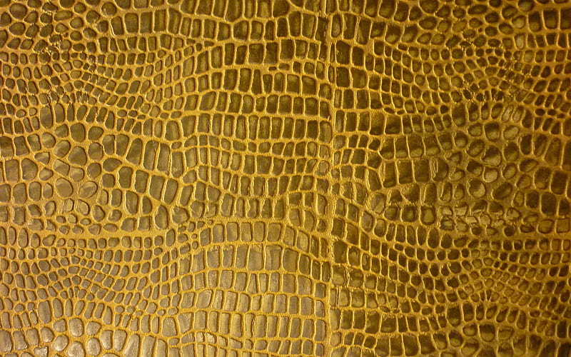crocodile skin, pattern, skin, abstract, crocodile, HD wallpaper
