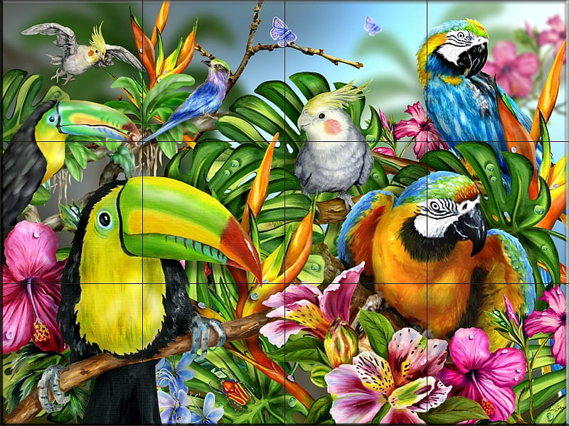 wall tile of tropical birds, birds, wall, tropical, tiles, HD wallpaper