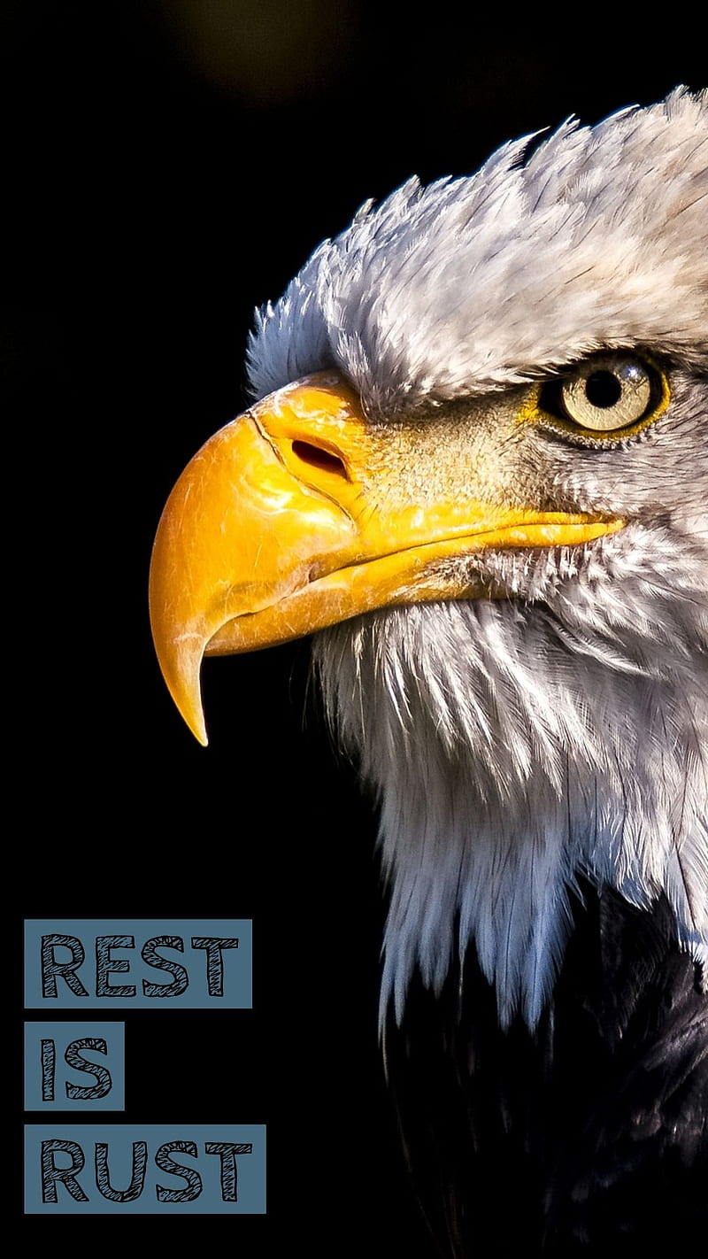 Eagle eye, drazraut, never settle, xiaomi, oneplus, best , eagles, country, white, HD phone wallpaper